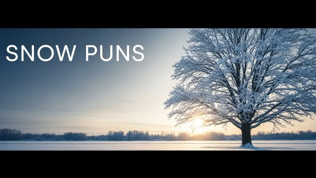 Snow Puns