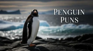 900+ Penguin Puns